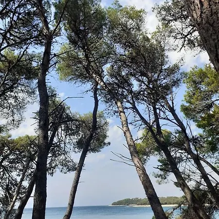 Terra Magica In Istria